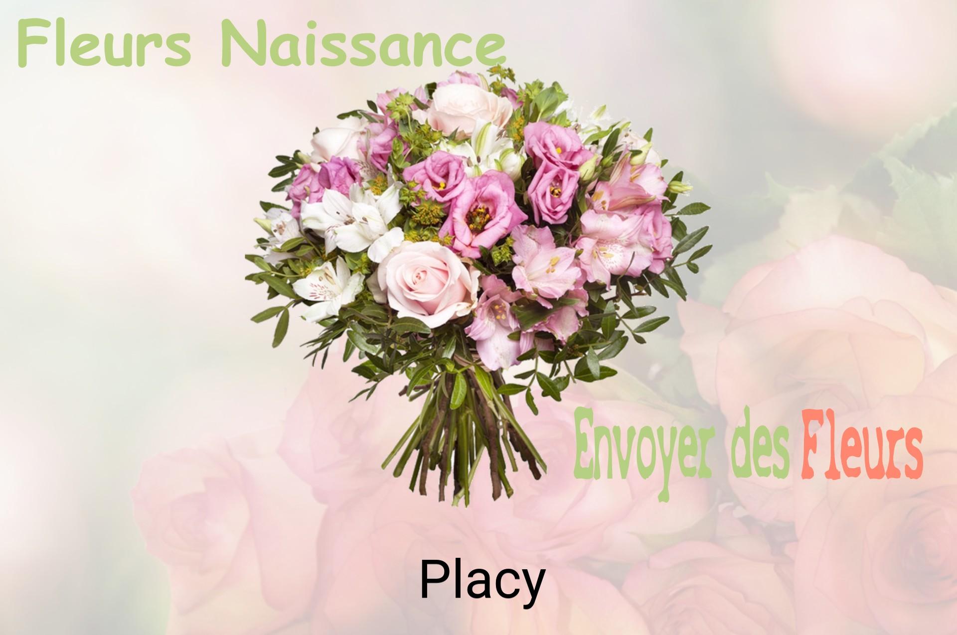 Bouquet de fleurs de naissance livré à Placy